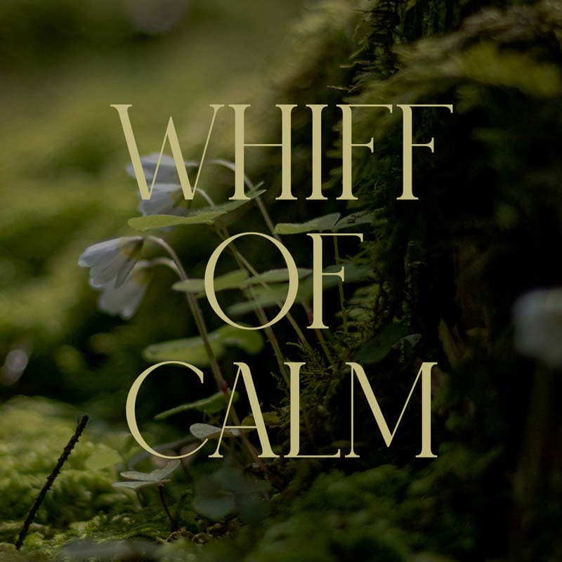 Discovery Set Test 5