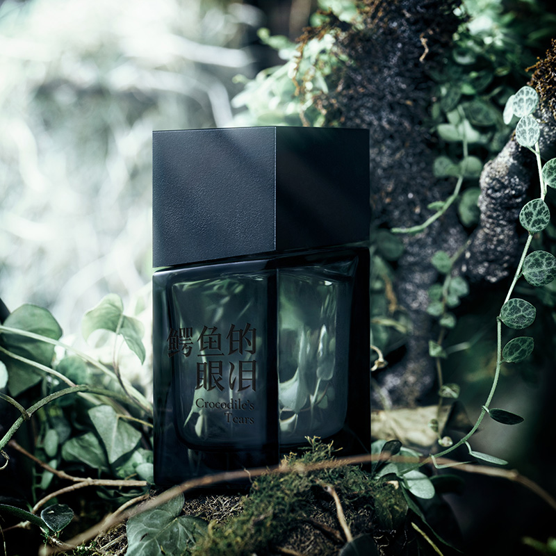 Crocodile's Tears - Image 4