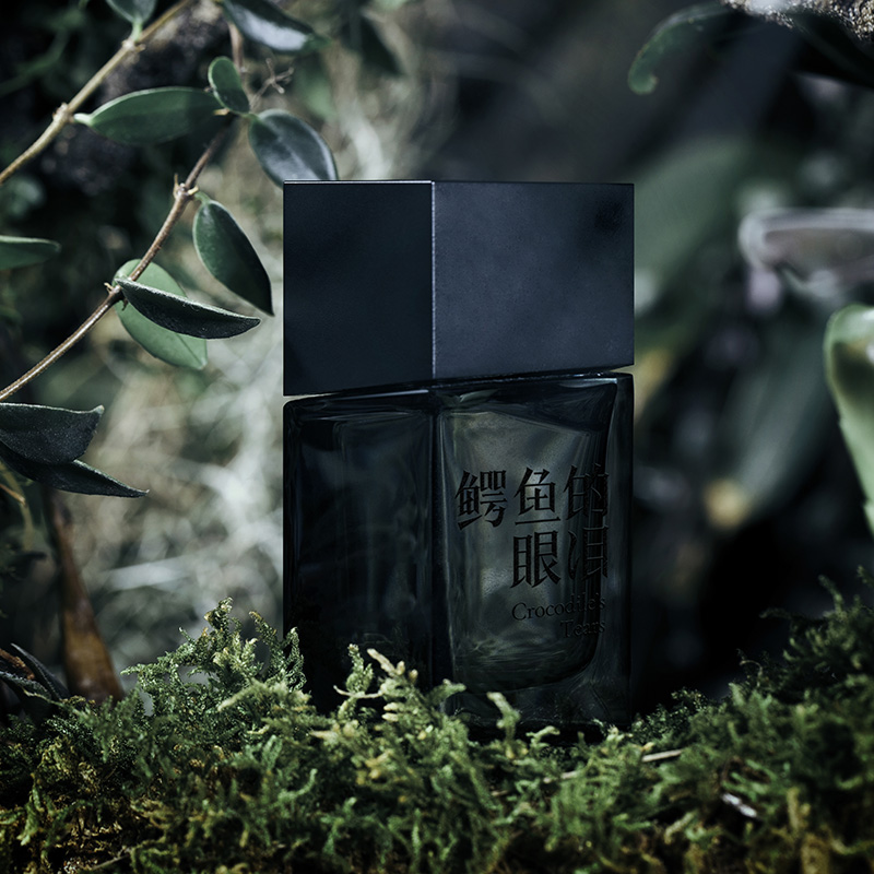 Crocodile's Tears - Image 5