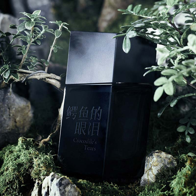 Crocodile's Tears - Image 6