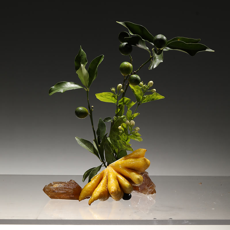 Malu-Malu Kucin Wool Diffuser - Image 6