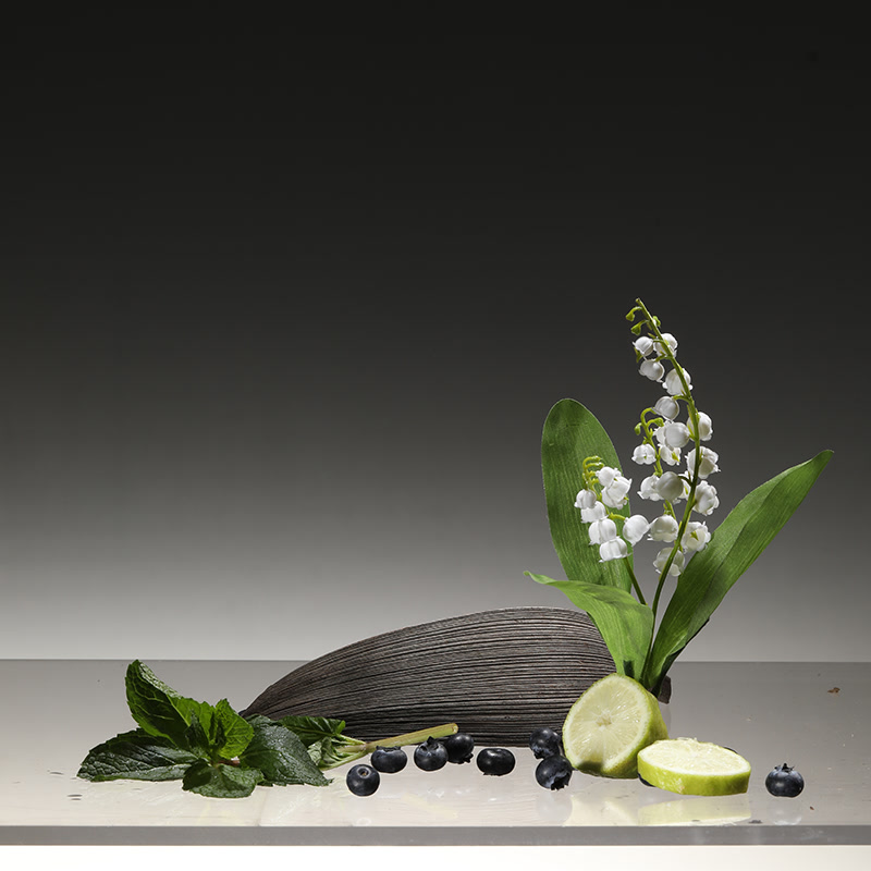 Matutolypea Wool Diffuser - Image 6