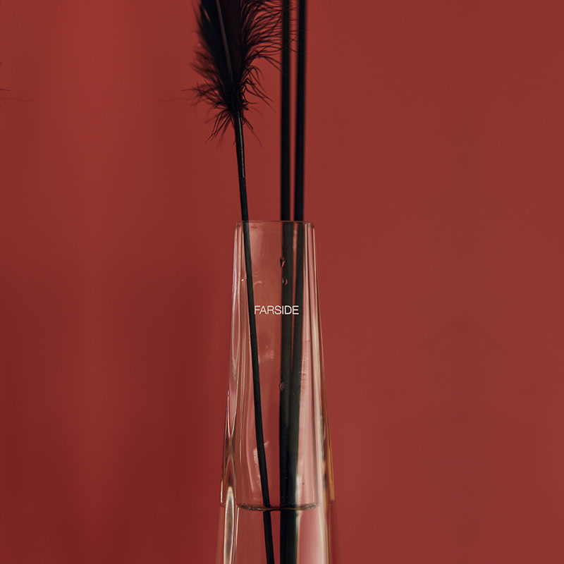 Basorexia Fibre Diffuser - Image 5