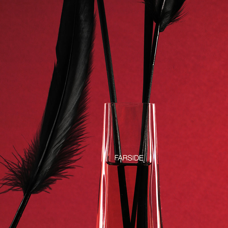 Basorexia Fibre Diffuser - Image 6