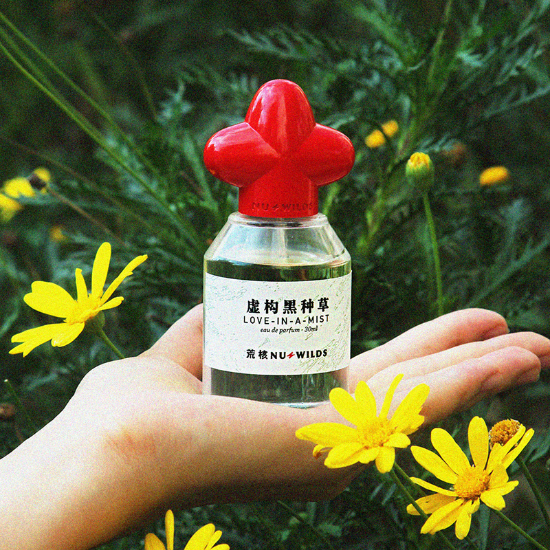 Love-in-a-mist - Image 7