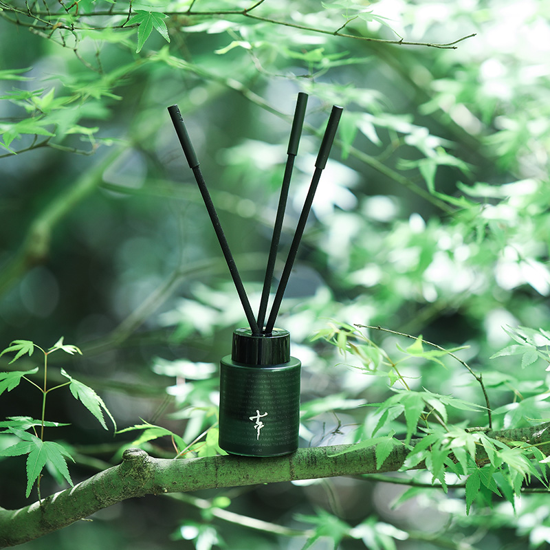 FUSANG Diffuser - Image 6