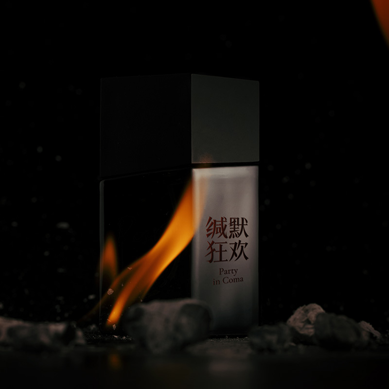 Party In Coma - Image 5