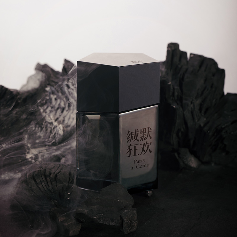 Party In Coma - Image 6