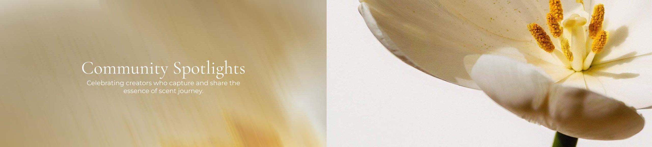 Voices From Our World